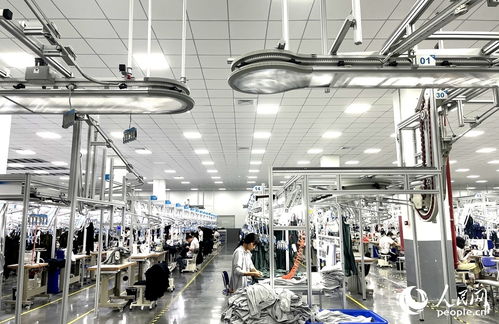 三明產(chǎn)業(yè)觀察 一條條 鏈 背后,藏著老區(qū)發(fā)展何種 脈絡